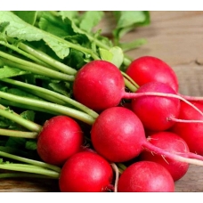 Редис - полезный овощ на вашем столе
