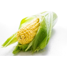 Выращиваем кукурузу 