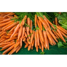 Небольшие секреты большого урожая моркови