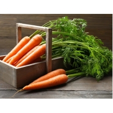 Даёт ли хороший урожай посаженная в июне морковь?