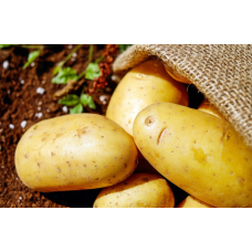 Как хранить картошку?