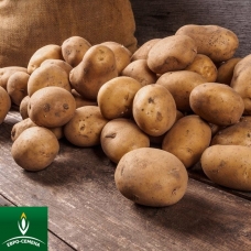 Основные правила хранения картофеля  